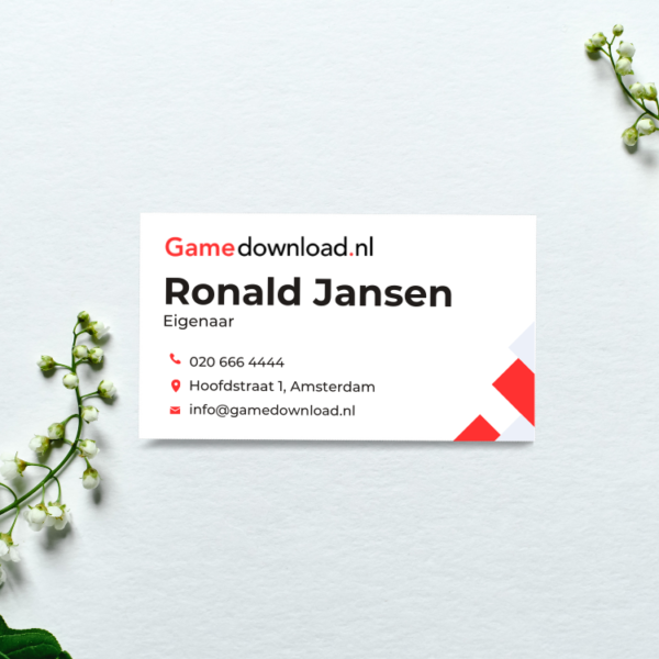 Gamedownload.nl - Afbeelding 2