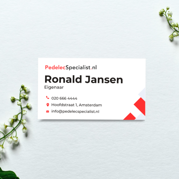 Pedelecspecialist.nl - Afbeelding 2