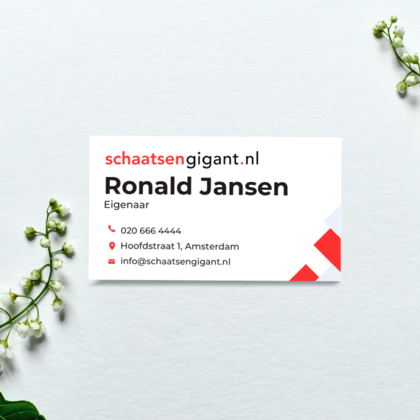 Schaatsengigant.nl - Afbeelding 2