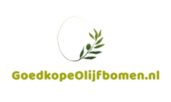 Goedkopeolijfbomen